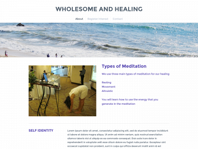 www.wholesomehealingsolutions.com snapshot