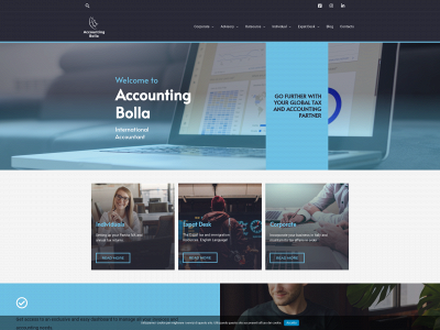 www.accountingbolla.com snapshot