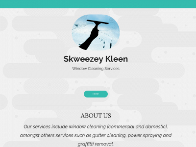 skweezeykleen.com snapshot