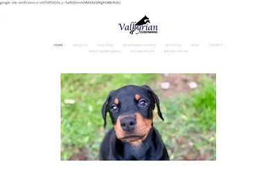 www.valkyrian.com.au snapshot