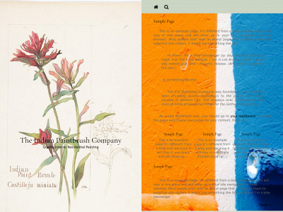 theindianpaintbrushcompany.com snapshot