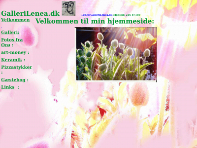 gallerilenea.dk snapshot