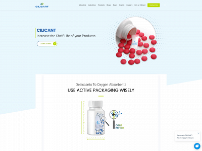cilicant.com snapshot