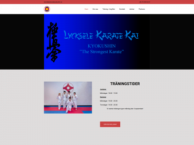 lyckselekyokushin.se snapshot