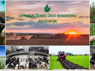 lzuba.lt snapshot