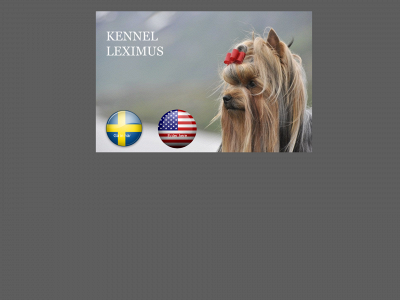 leximus.se snapshot