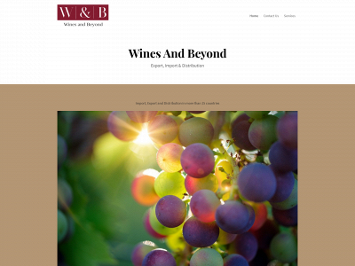 winesandbeyond.com.es snapshot
