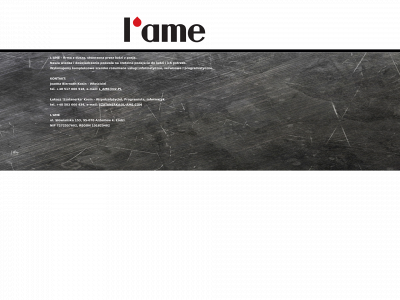 l-ame.com snapshot