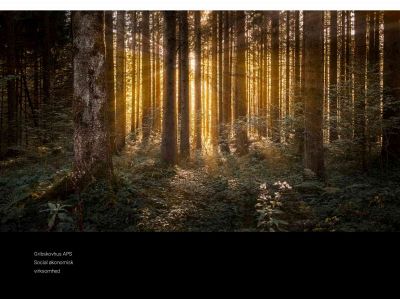 gribskovhus.dk snapshot