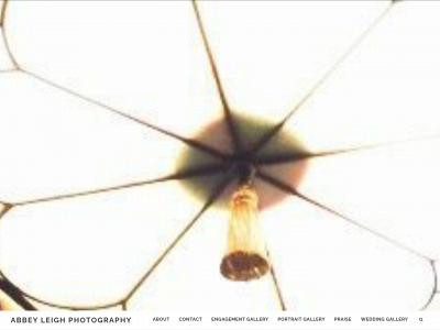 abbeyleighphotography.com snapshot