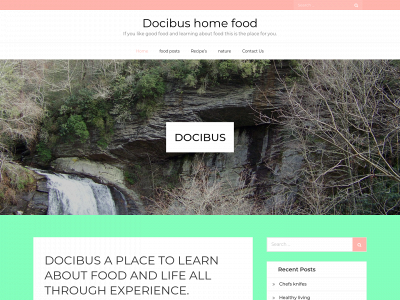docibus.com snapshot