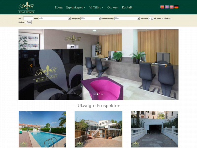 realhomespain.no snapshot