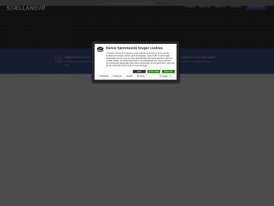 ss-sj.dk snapshot