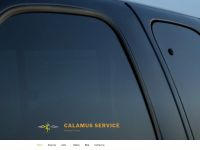 calamusservice.com snapshot