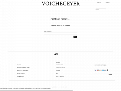 voichegeyer.com snapshot
