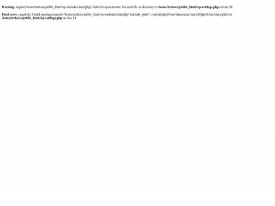 treboraconseil.com snapshot