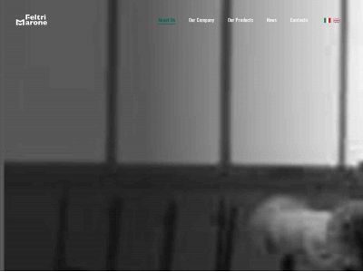 spirabelt.com snapshot