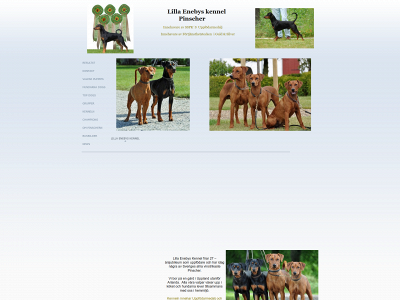 lillaenebys.se snapshot