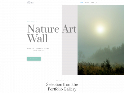 natureartwall.com snapshot