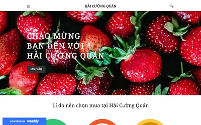haicuongquan.weebly.com snapshot