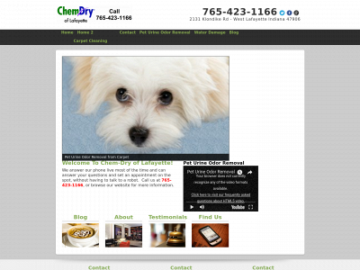 carpetcleaninglafayetteindiana.com snapshot