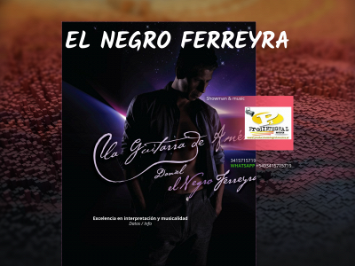 elnegroferreyra.com snapshot