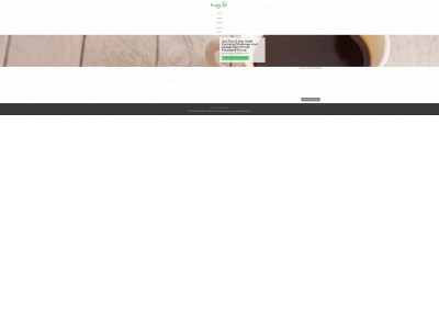 leweyslife.com snapshot