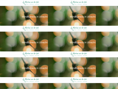 marloesvanderwel.nl snapshot