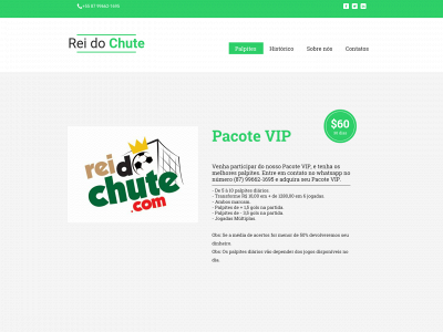 reidochute.com snapshot