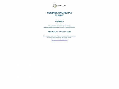newindk.online snapshot