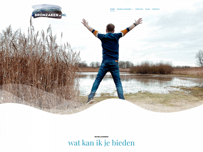 bronzaken.nl snapshot
