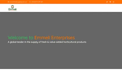 emmeli-enterprises.com snapshot