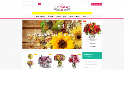 blossomflowerdelivery.com snapshot