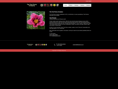 treepeony.co.uk snapshot