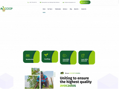 avocoopuganda.com snapshot