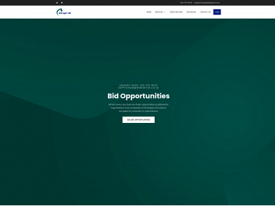 bidrightuk.co.uk snapshot