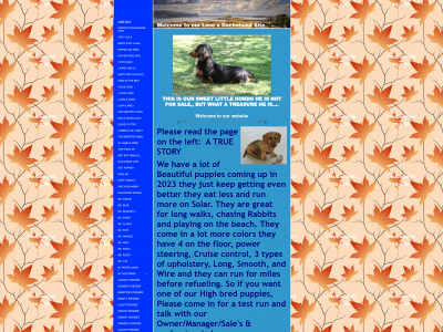 aaapuppydogs.com snapshot