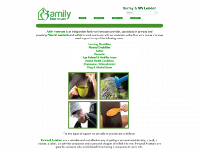 amily.co.uk snapshot