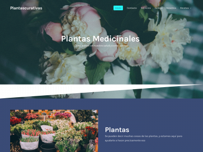 plantascurativas.info snapshot