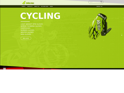 barlasimpex.com snapshot