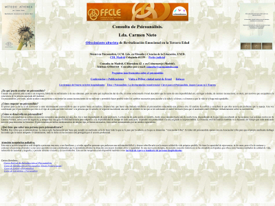 carmennieto.com snapshot