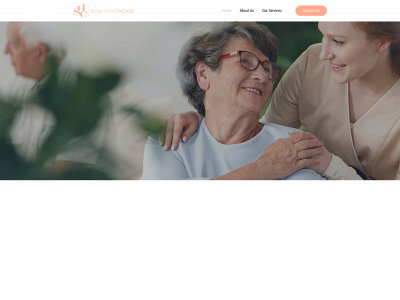 sionihealthcare.com snapshot