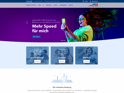 willytelgmbh.de snapshot