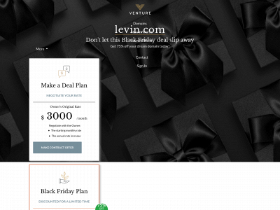 levin.com snapshot