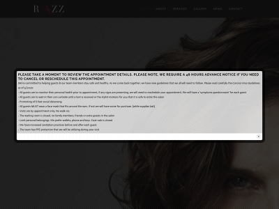 razzsalonct.com snapshot