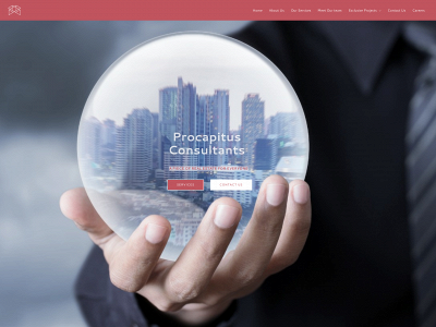 procapitus.co.in snapshot