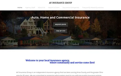 www.avinsgroup.com snapshot