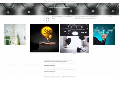 visionarymarketingdevelopmentgroup.com snapshot
