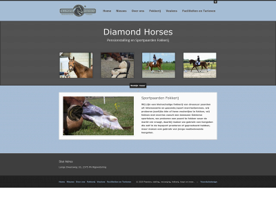 diamondhorses.nl snapshot