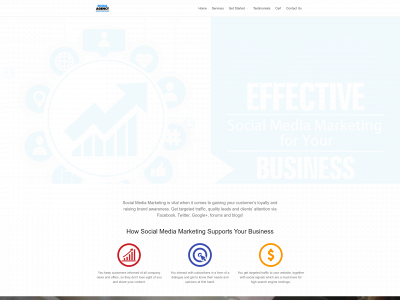 mysocialagency.co snapshot